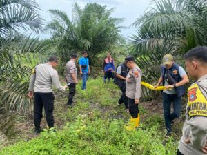 Penemuan Rangka Manusia di Desa Bhaskara Bhakti Gegerkan Warga