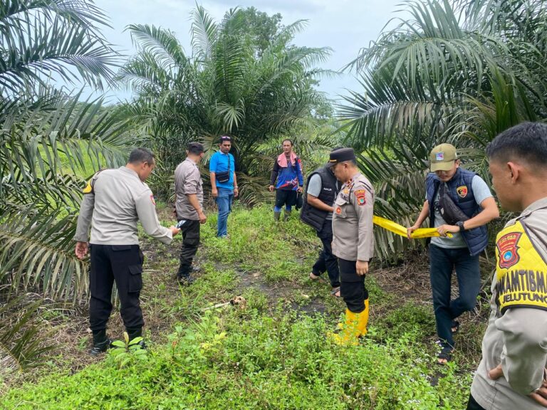 Penemuan Rangka Manusia di Desa Bhaskara Bhakti Gegerkan Warga