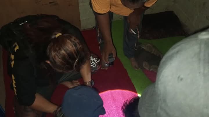 Polres Bangka Berhasil Ungkap Penyalahgunaan Narkotika di Belinyu